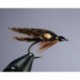 Fish Hawk