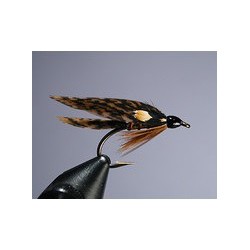 Fish Hawk
