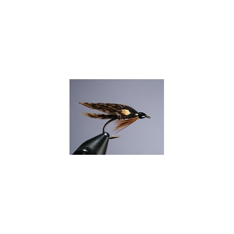Fish Hawk