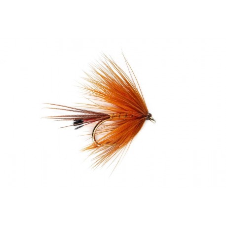 Galway Copper