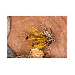 Galway Light Olive
