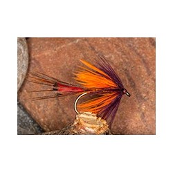 Galway Orange