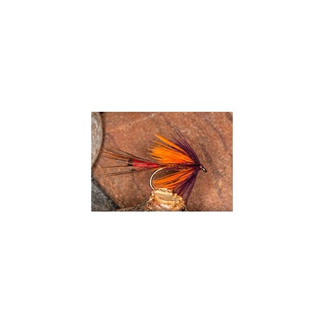 Galway Orange
