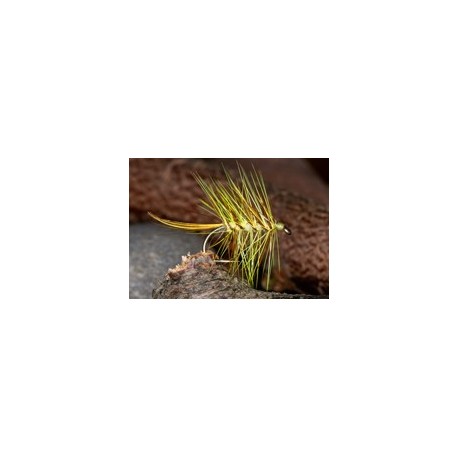 Gartmore Palmer Yellow