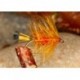 Ginger Bibio