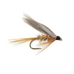 Gold Ribbed Hare's Ear