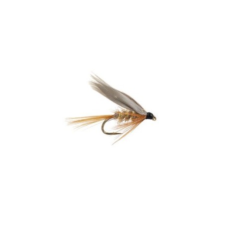 Gold Ribbed Hare's Ear