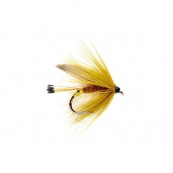 Golden Olive