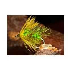 Green Bibio