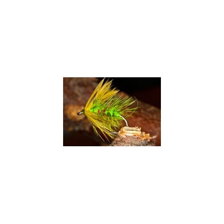 Green Bibio