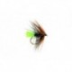 Green Tailed Kate