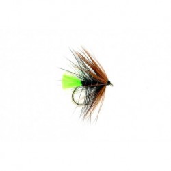 Green Tailed Kate