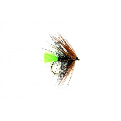Green Tailed Kate