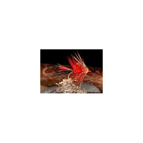 Hamels Spider B