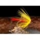 Hamelsshellbackspider