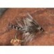 Heather Moth