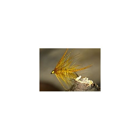 Honey Bumble