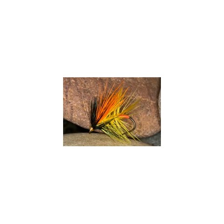 Hunchback Orange