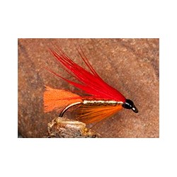 Ibis & Orange