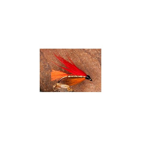 Ibis & Orange