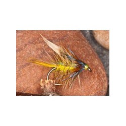 Invicta Bumble