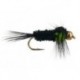 Montana Green
