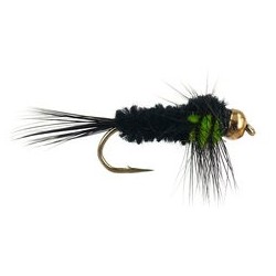 Montana Green