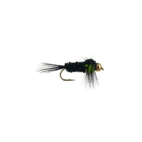 Montana Green