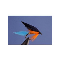 Kingfisher Butcher