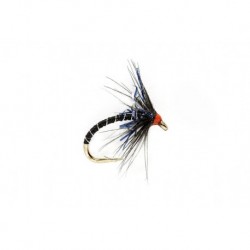 Kj Black & Uv Spider