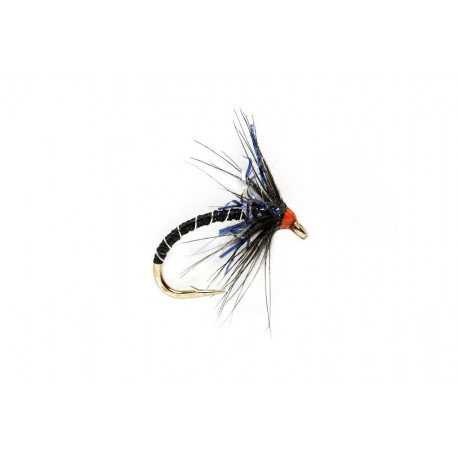 Kj Black & Uv Spider