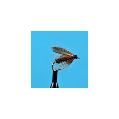 Leadwing Coachman Wet Fly