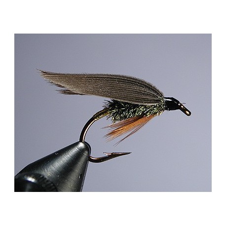 Leadwing Coachman