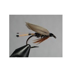 Light Caddis
