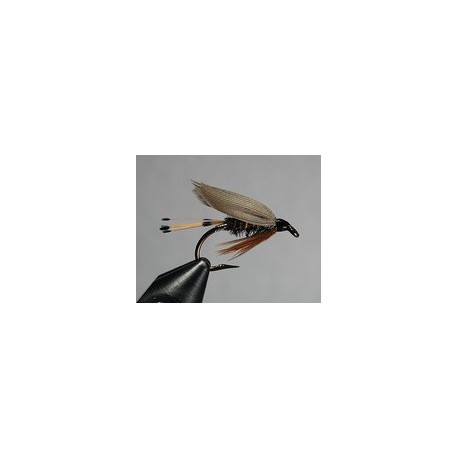 Light Caddis
