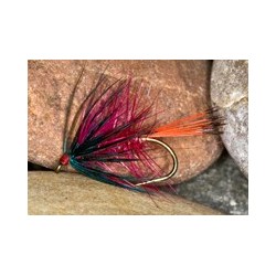 Magenta Bumble