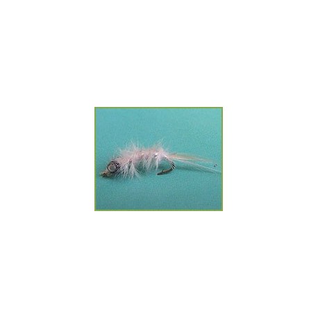 Mysis Shrimp