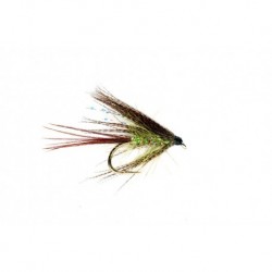 Medium Olive