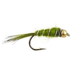 Olive Basic Bh Nmyph