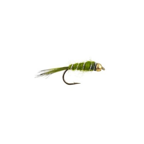Olive Basic Bh Nmyph