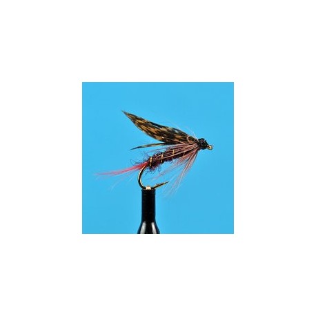 Montreal Wet Fly