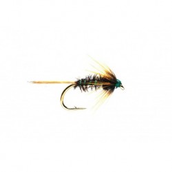 Nemo Holographic Green