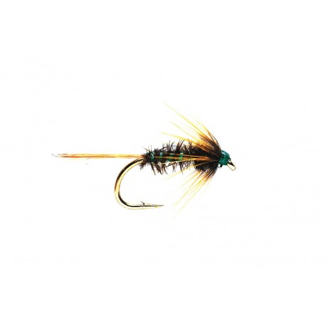 Nemo Holographic Green