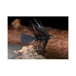 New Zealand Bumble