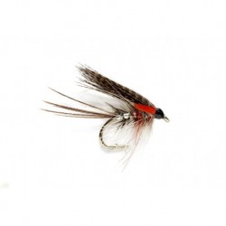 Old Red Eye