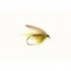Olive Dun