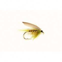 Olive Dun