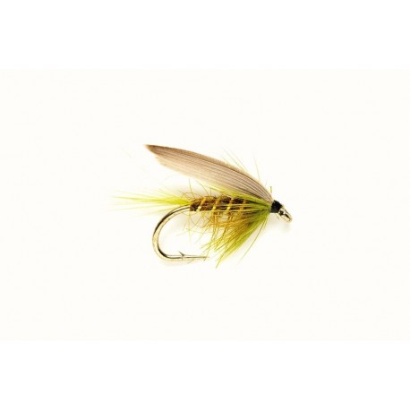 Olive Dun