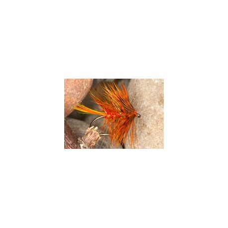 Orange Olive Bumble
