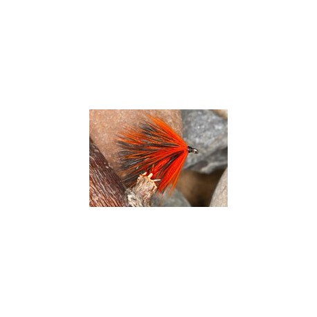 Orange Rory